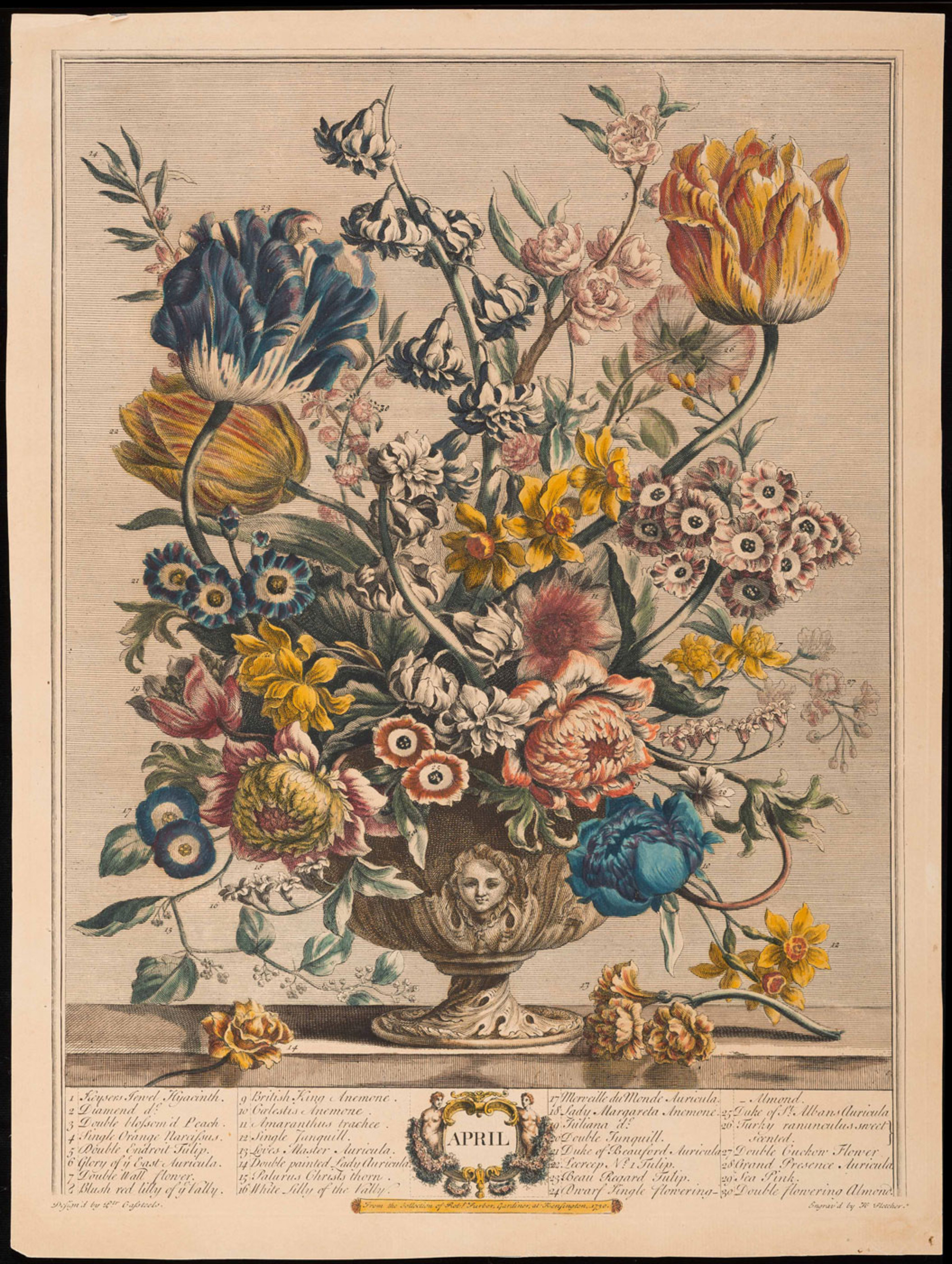 Furber's Flowers