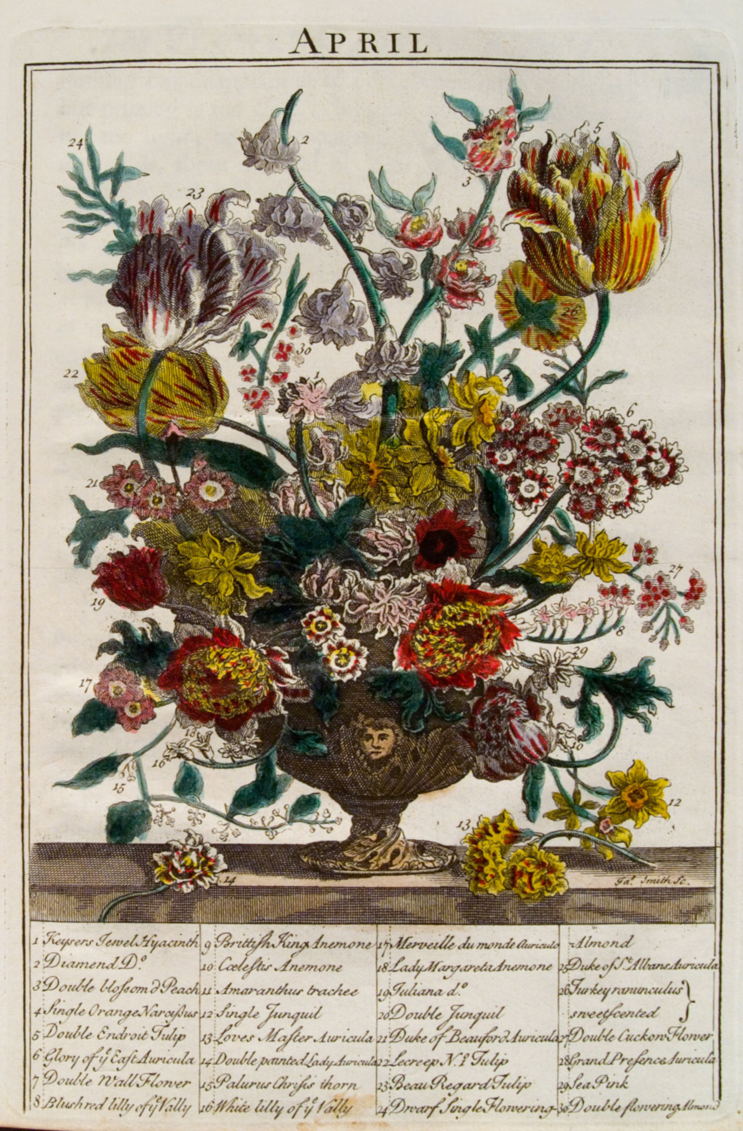 Furber's Flowers