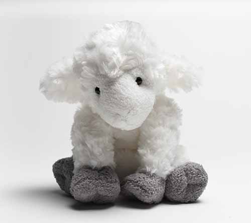 7 Wooly Fun Ways to Lamb Up Your Visit