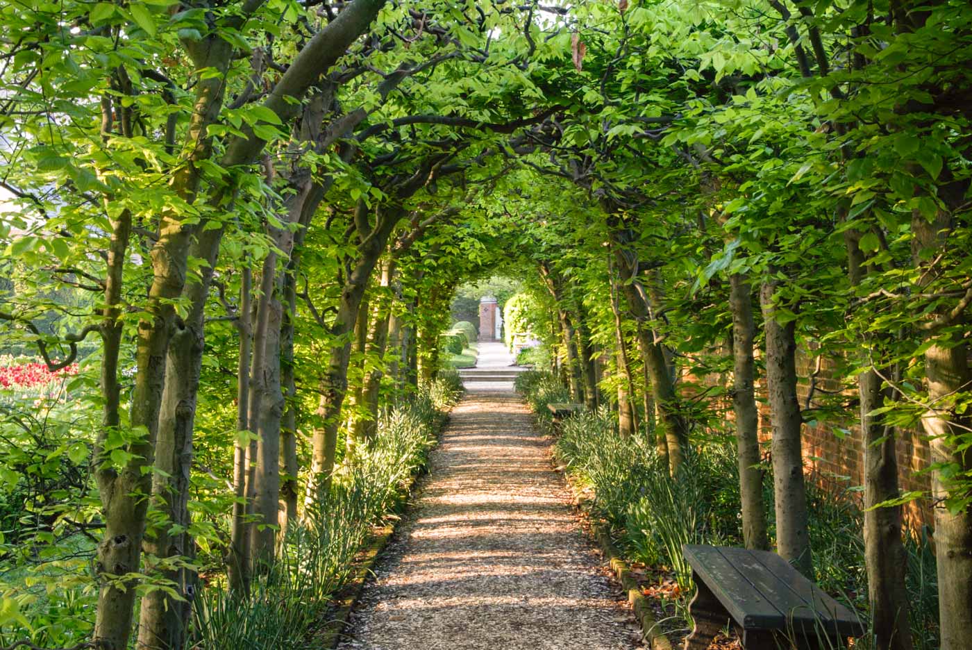 Colonial Williamsburg Arboretum & Gardens