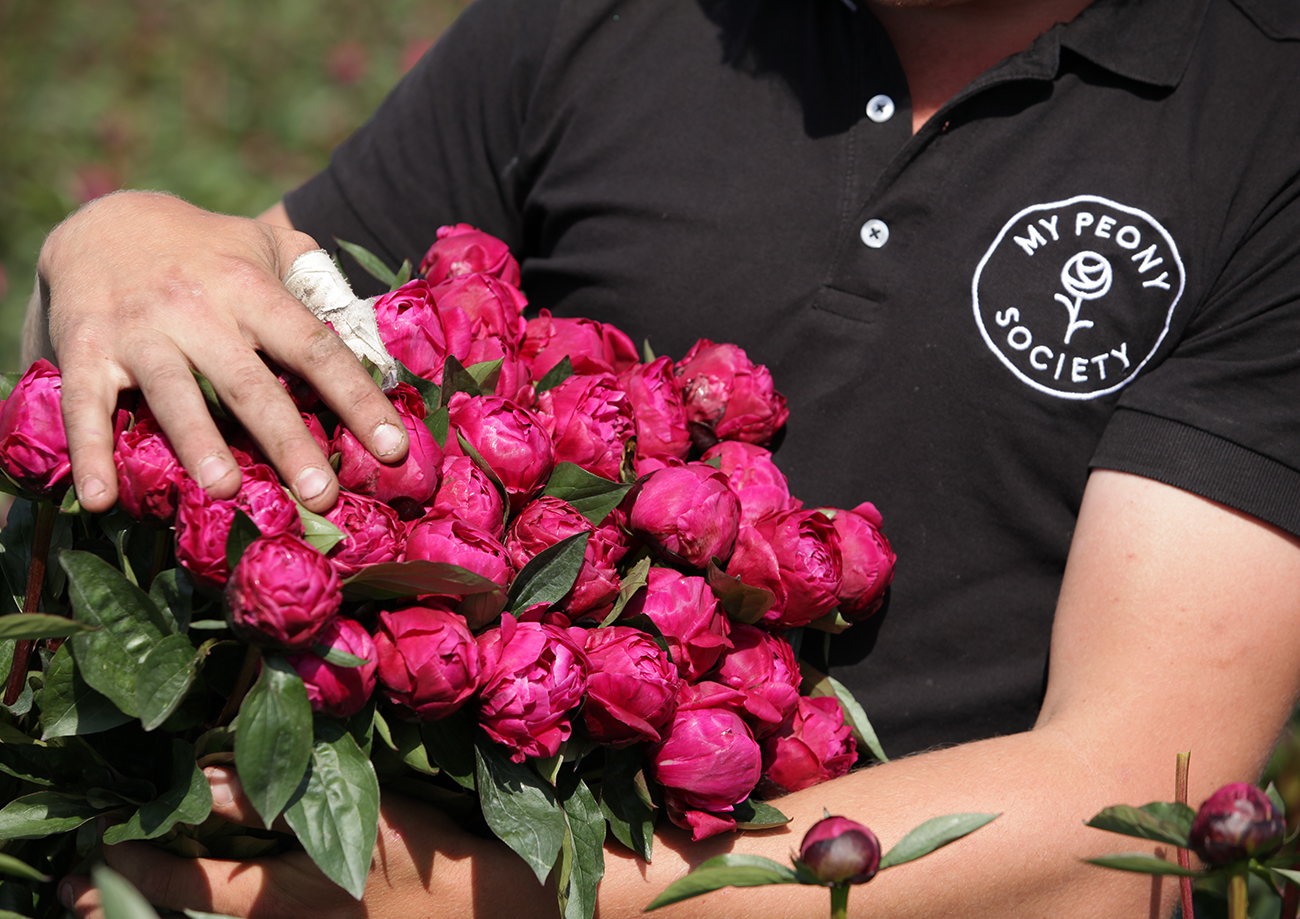 Logo rosefruits