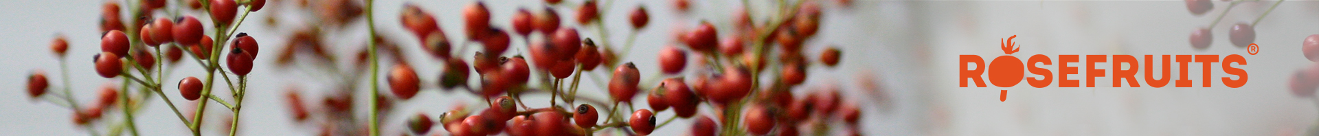 Rosefruits