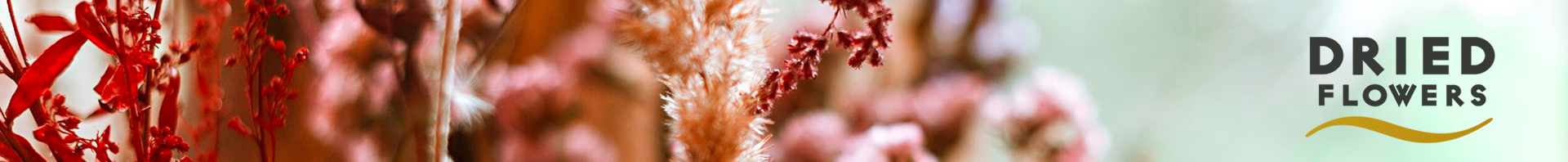 Dried Flowers assortment