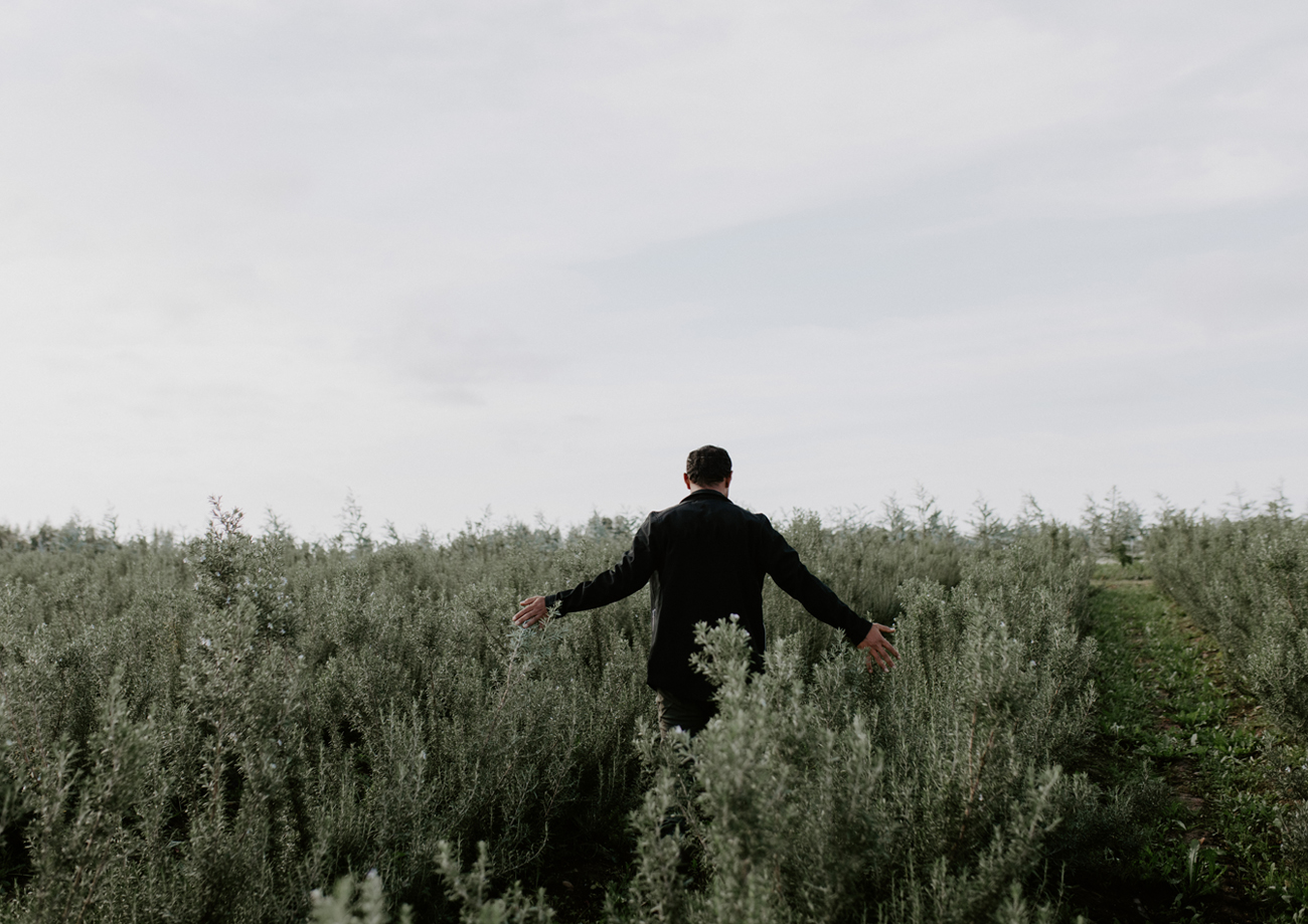 About Further and Forest