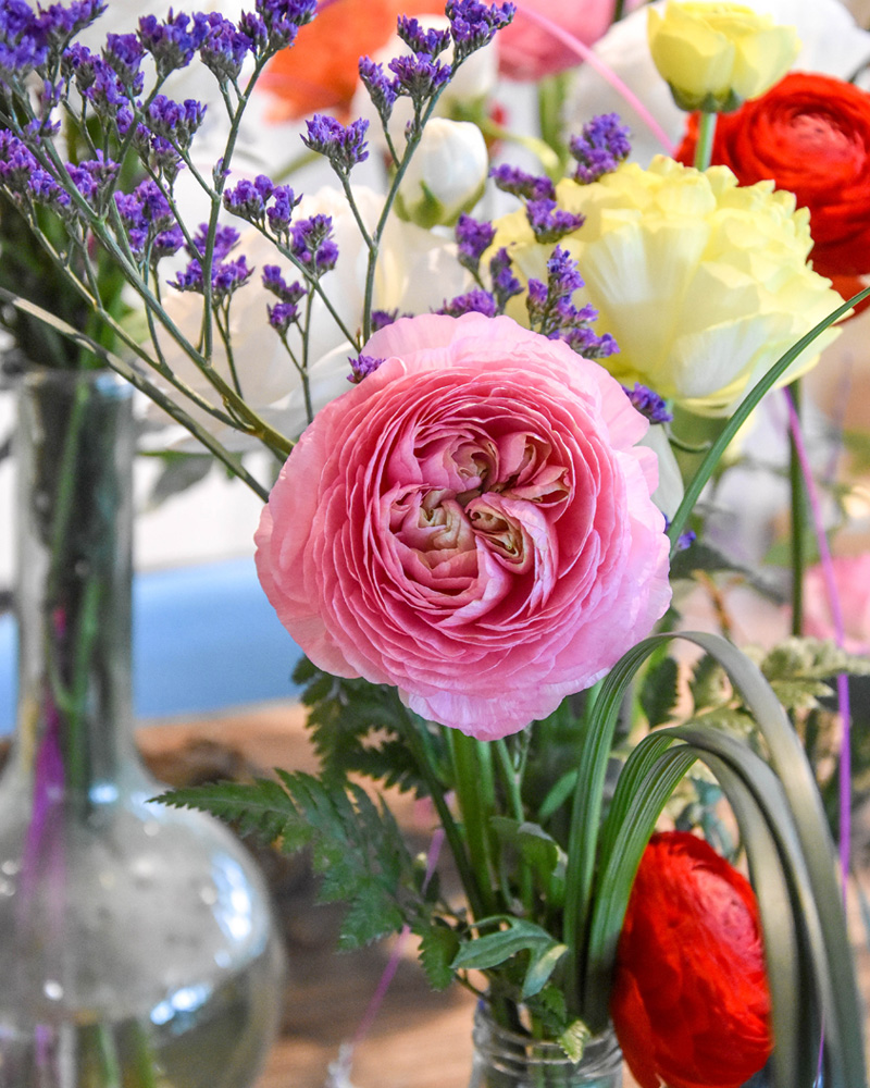 Ranunculus