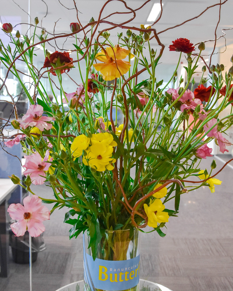 Ranunculus Butterfly