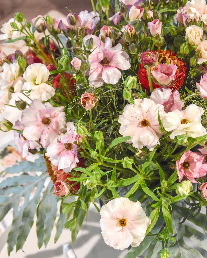 Ranunculus Butterfly