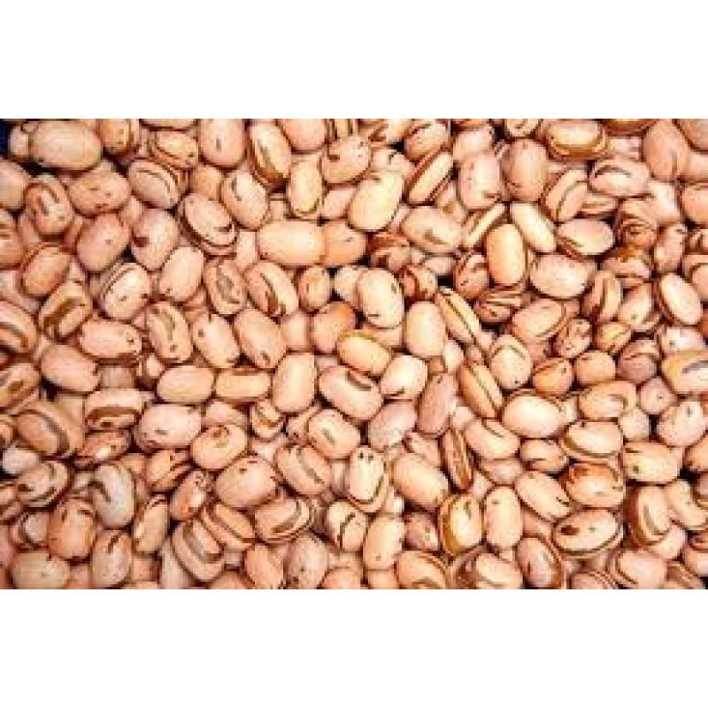 Feijão Carioca Orgânico 1 kg