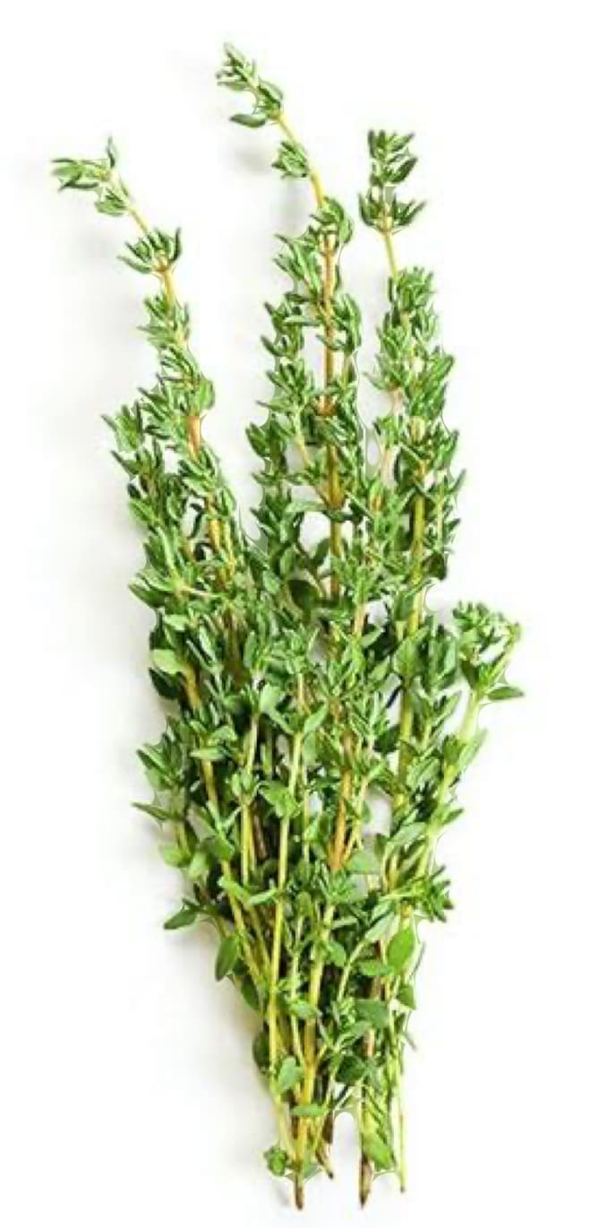 Tomilho - molho pequeno