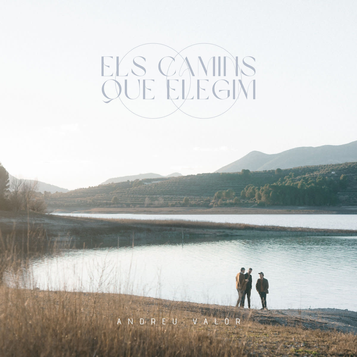 ELS CAMINS QUE ELEGIM ANDREU VALOR