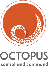 Octopus systems - Informatique