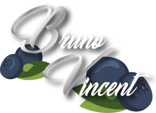 Bruno VINCENT