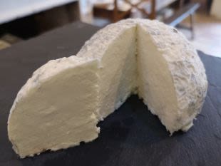 Taupinière Charentaise