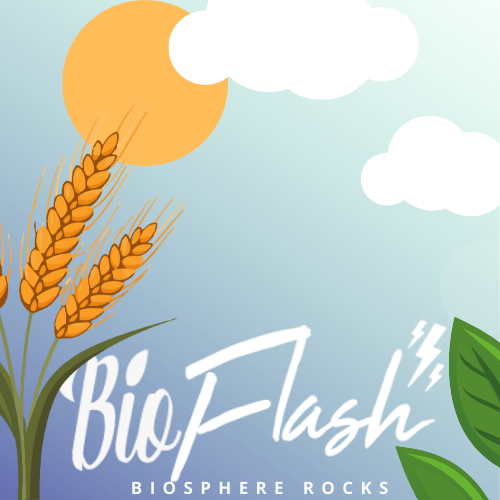 Bioflash
