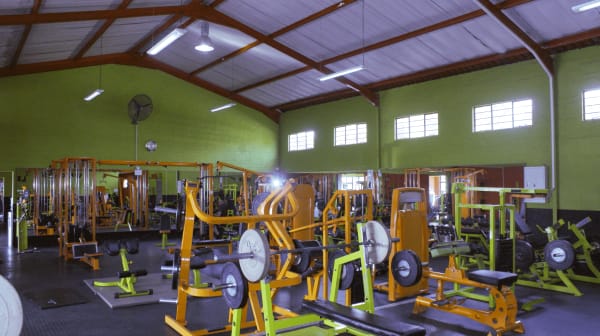 picture of Weights section