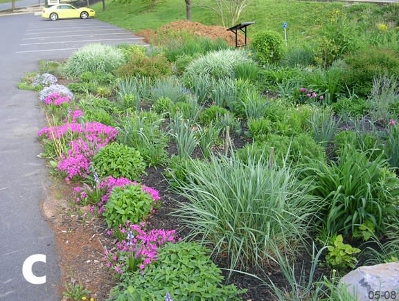 C. More formal style of planting which has large areas of short mown grass interspersed with small shrubs and hard wearing plants.