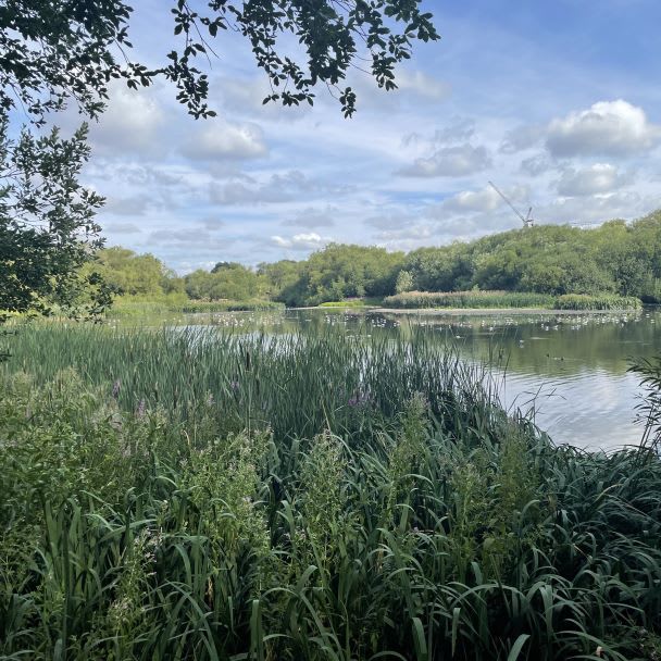 A view of the Welsh Harp (Brent reservoir) from a path in West Hendon Playing Fields.