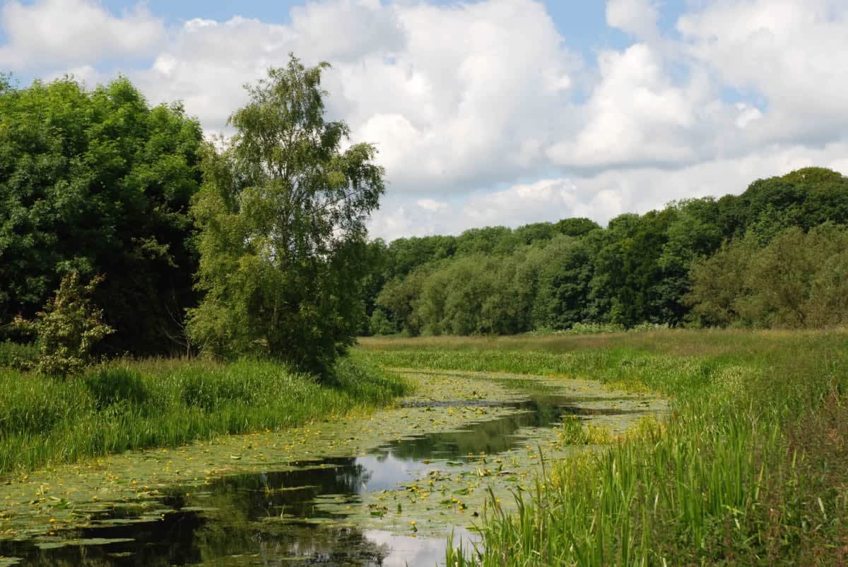 Have Your Say Today - Hull And East Yorkshire Local Nature Recovery ...