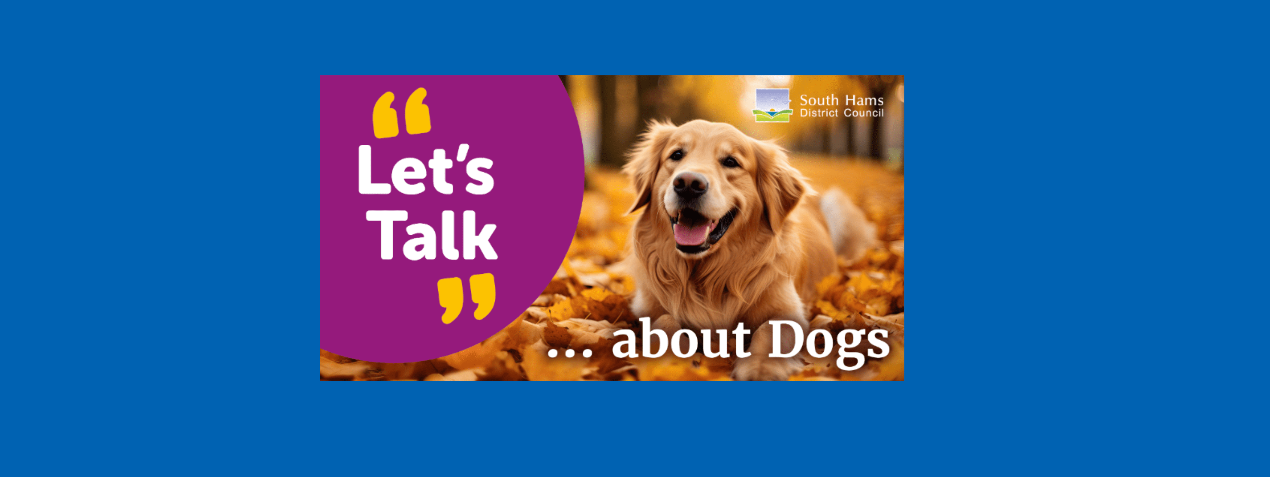 Explore What People Said Public Space Protection Orders (PSPO