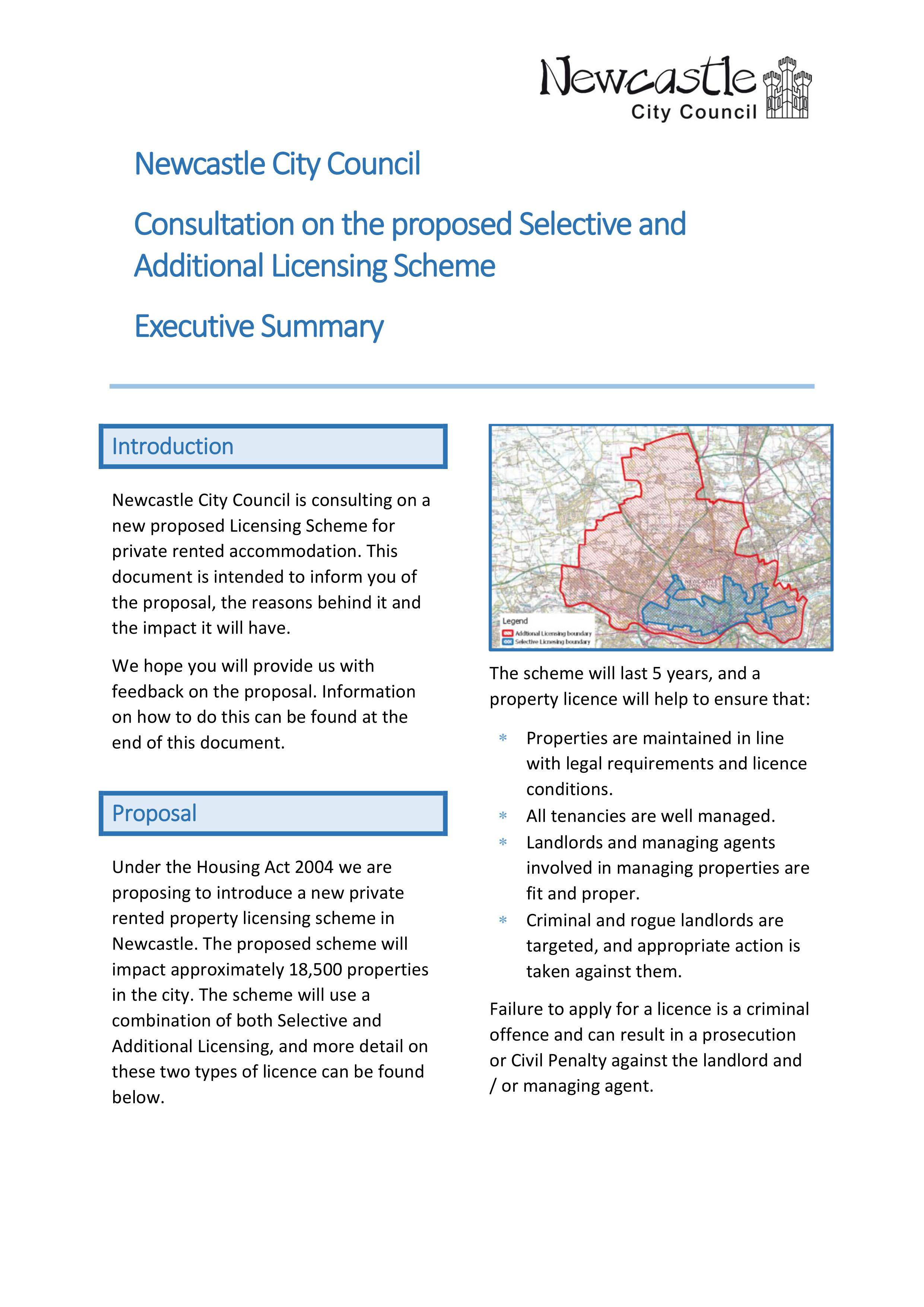 Consultation executive summary