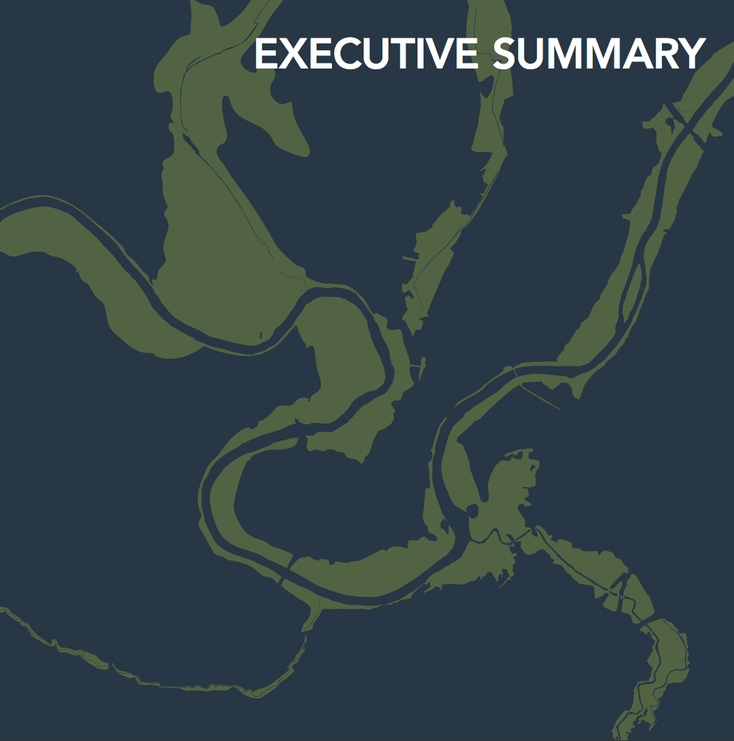 Masterplan Vision - Executive Summary