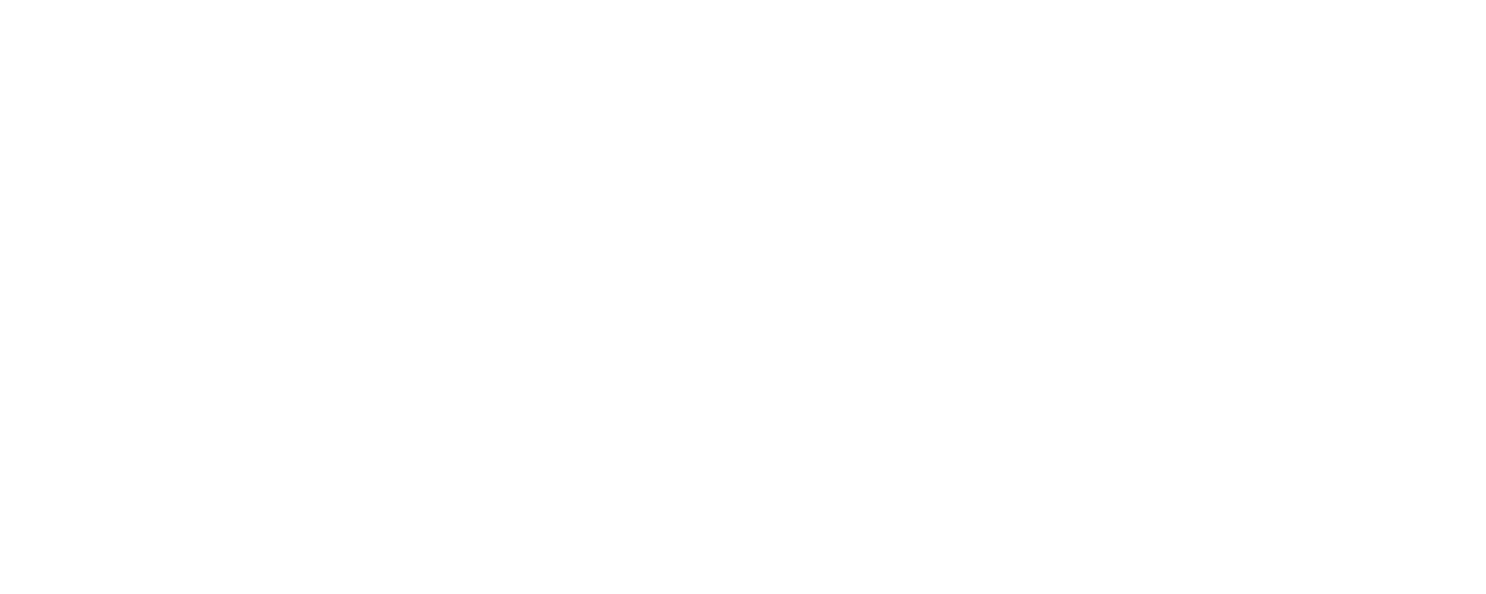 Hampshire LCWIPs logo