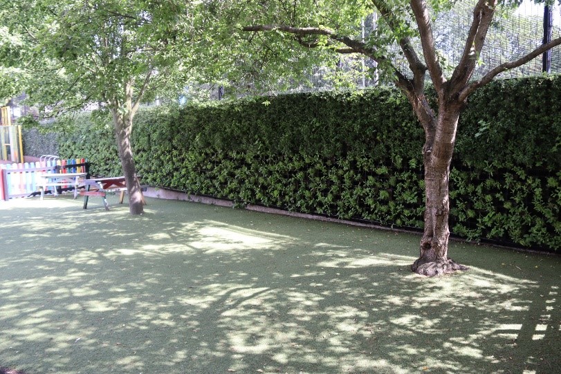 An image of two trees in a children's outdoor play area.