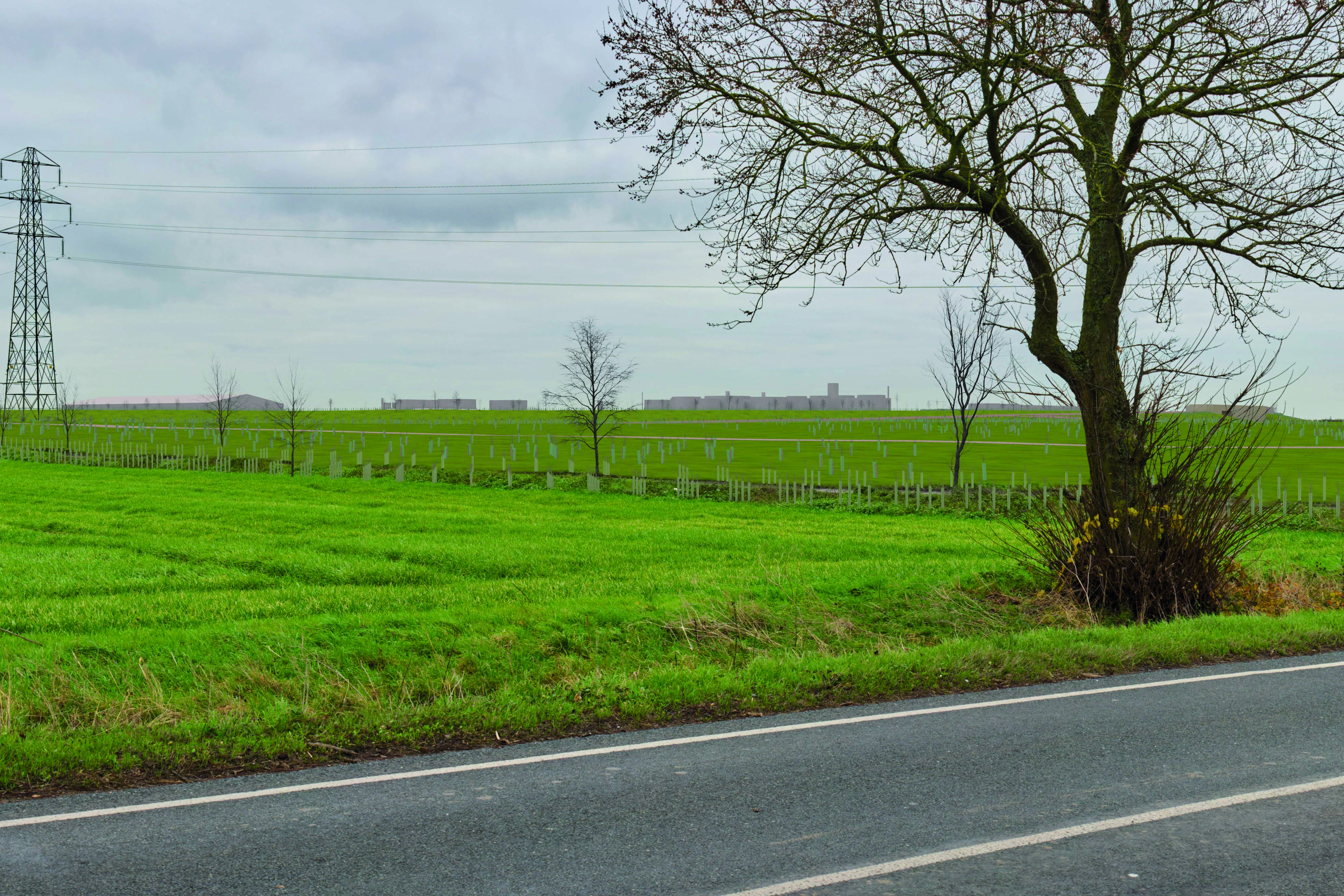 View east from Horningsea Road near Low Fen Drove Way (year 1)