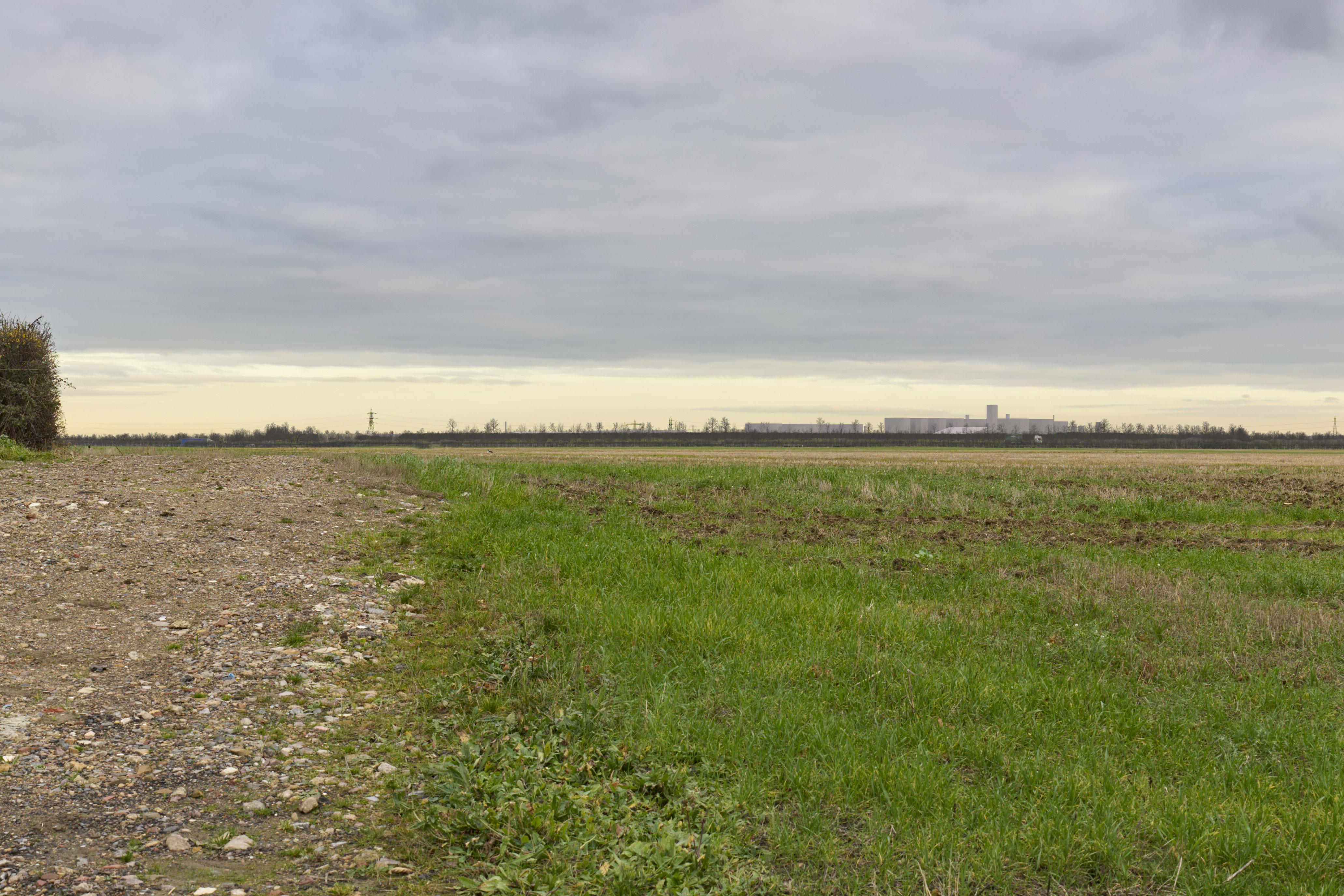 View from Fen Ditton north from High Ditch Road (year 15)