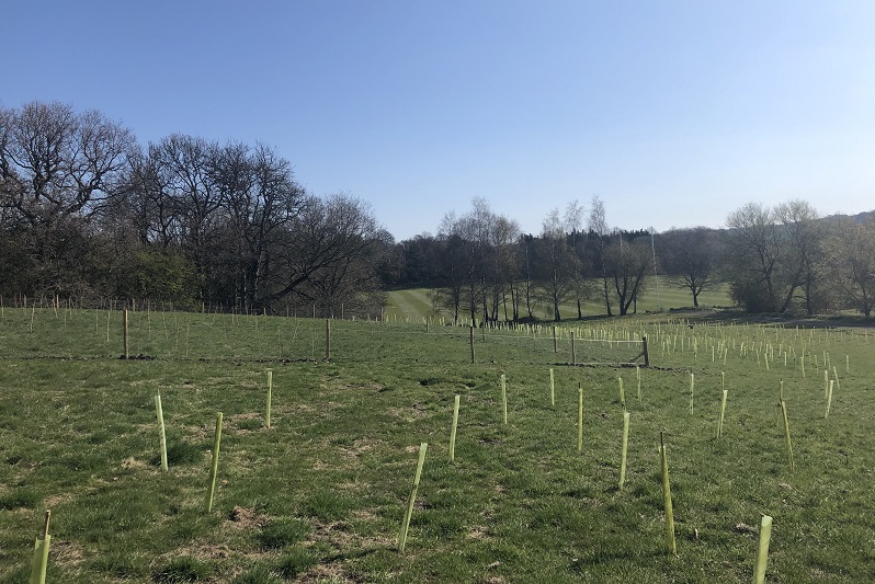 Tree planting at Bodington Fields