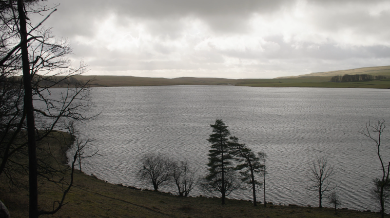 Malham Tarn