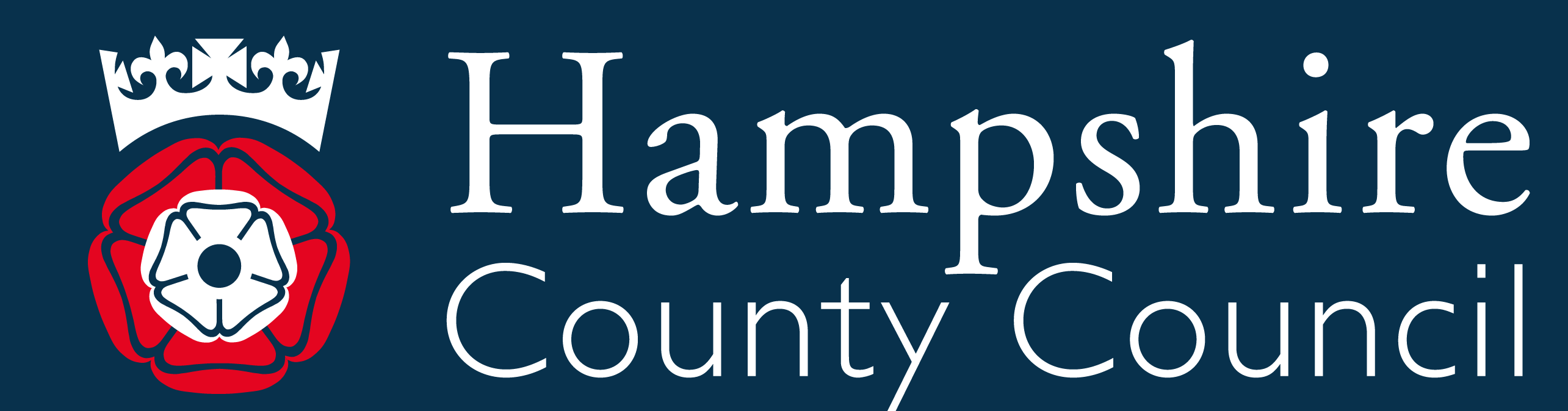 Basingstoke and Deane LCWIP logo