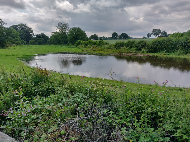 A field flooded with a large amount of water