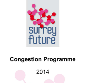 Surrey Future Congestion Programme 2014