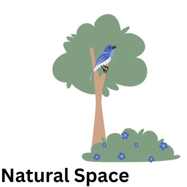 Natural Space