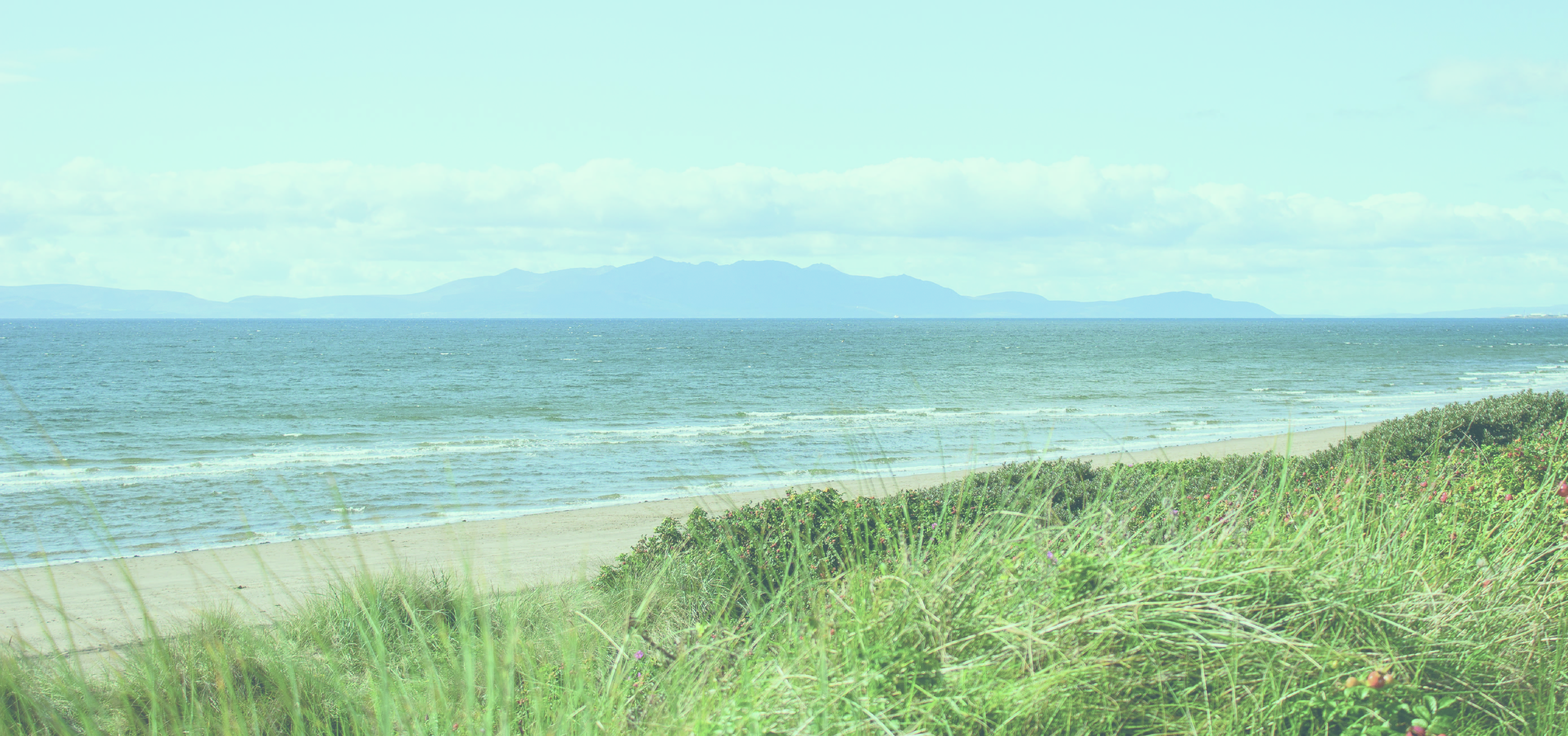 Image of a beach