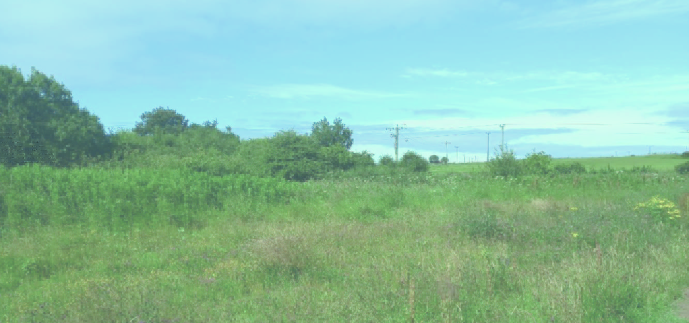 Keep in Touch with Latest News North Ayrshire’s Third Local