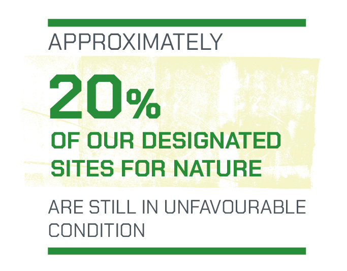 20% of designated sites are still in unfavourable condition