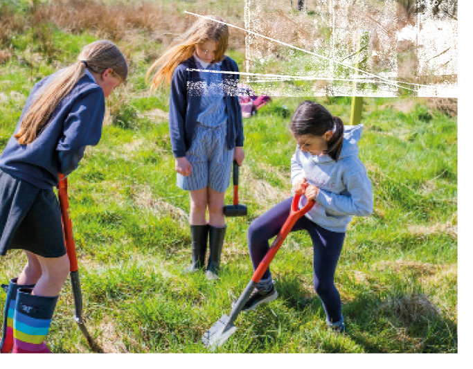 Tree planting primary school pupils