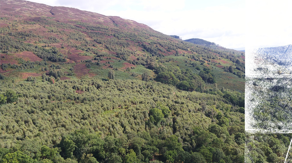 Glen Finglas woodland cover