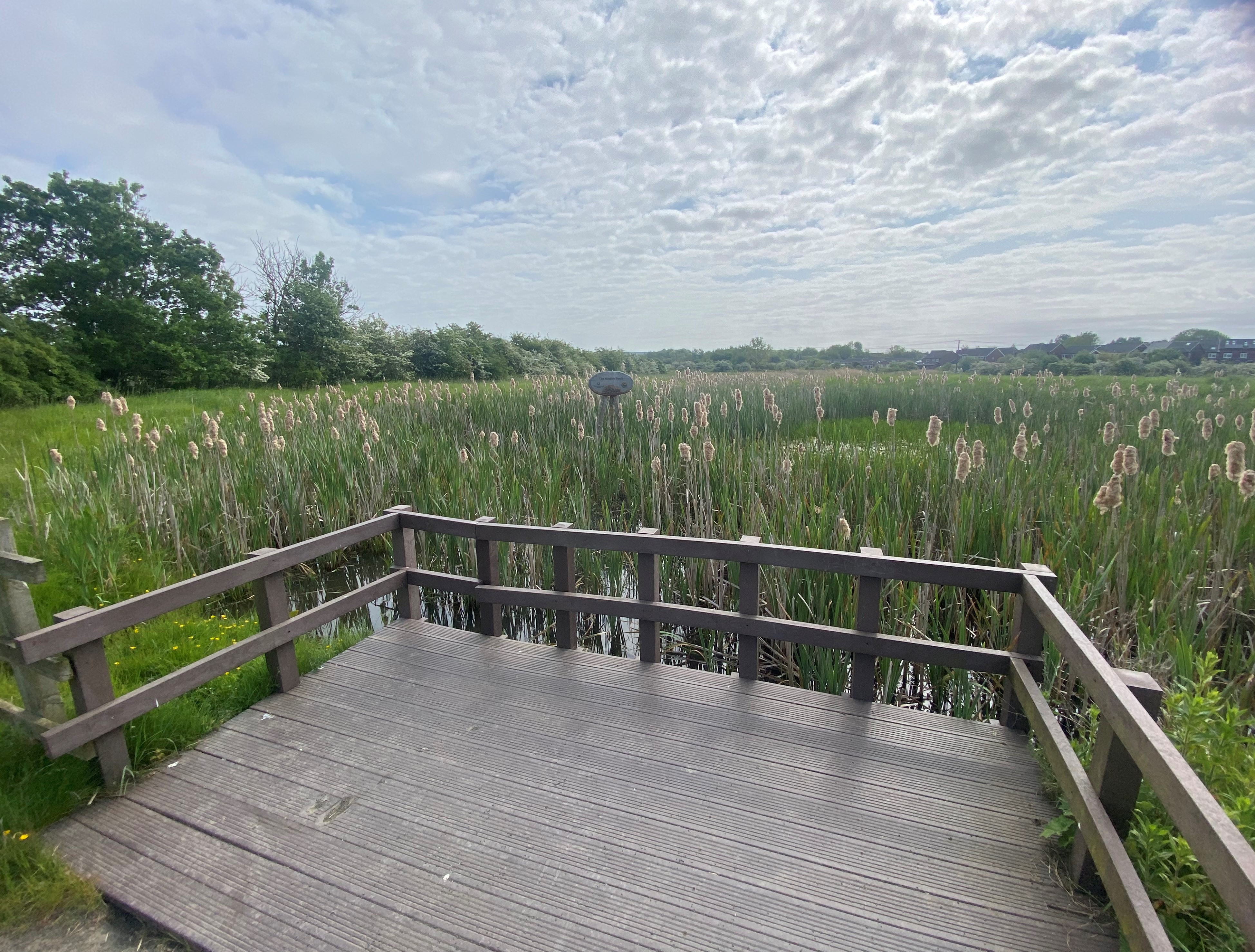 Image of boardwalk