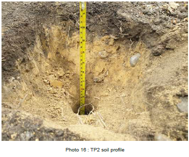 Soil profile in area with bare soil showing poor condition