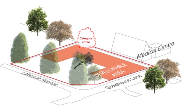 Image showing the developable area with the walnut tree remaining