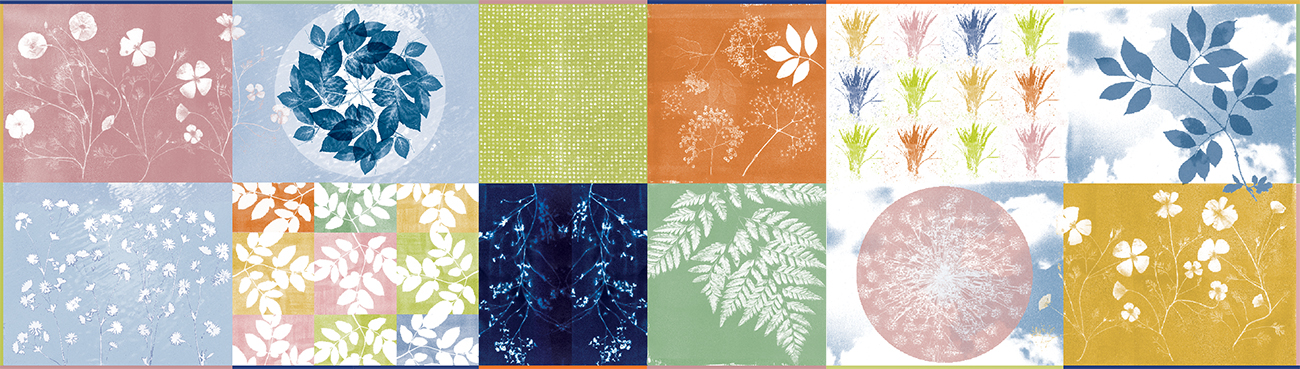 Prints of pressed flowers set against various shapes, textures, and colours. 
