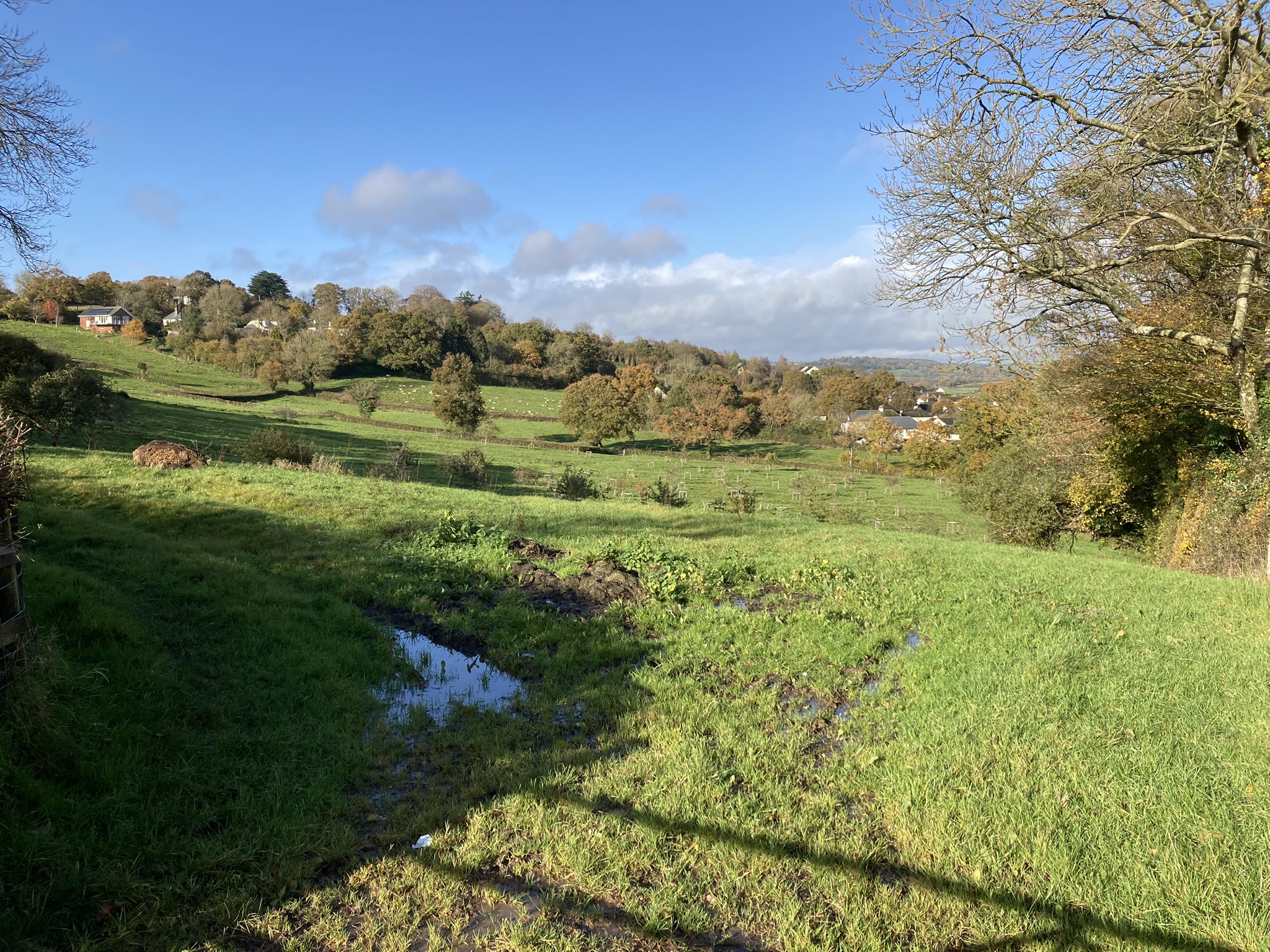 Image of the proposed Green Wedge at Colyton