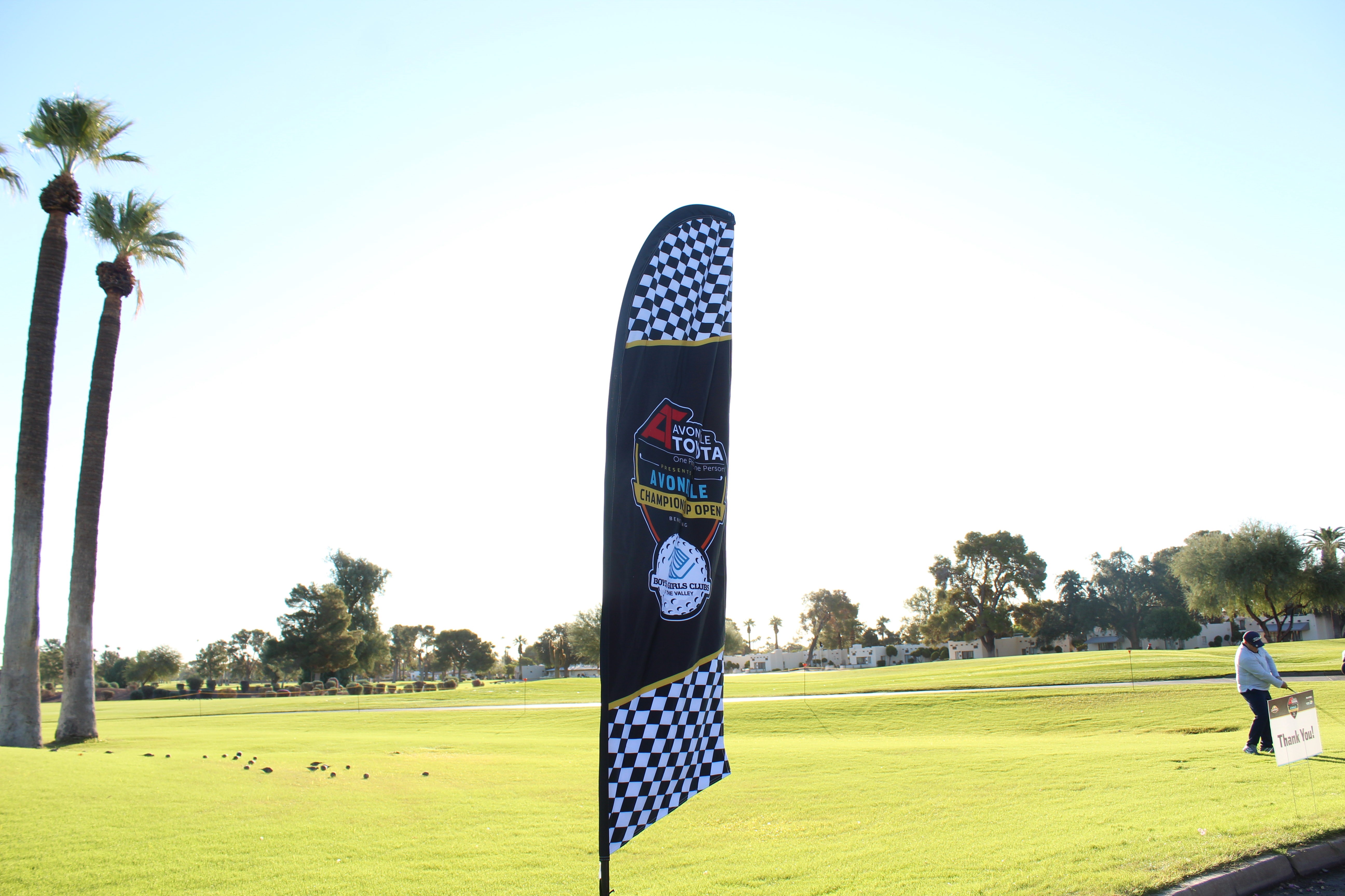 Description of the image