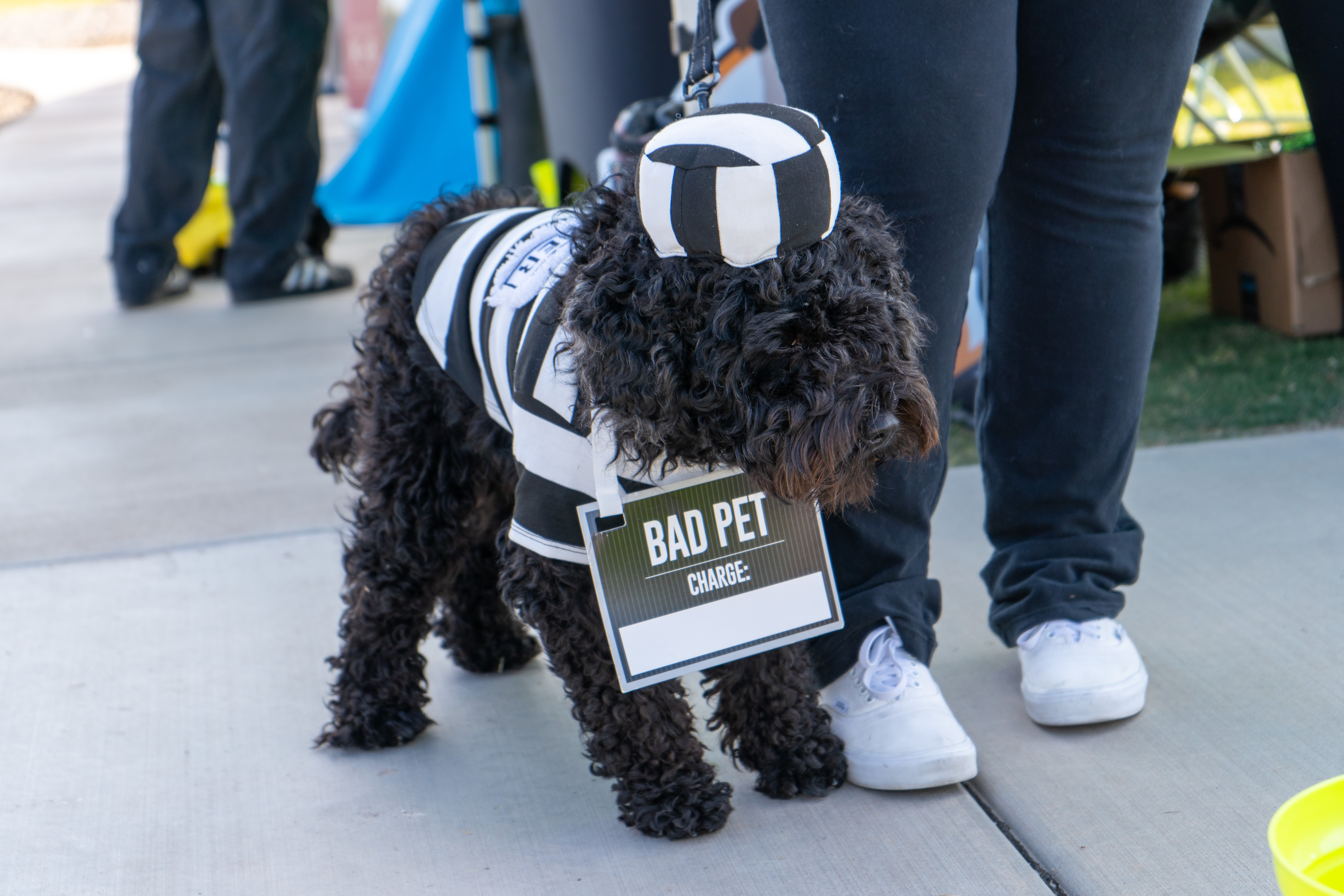 Description of the image