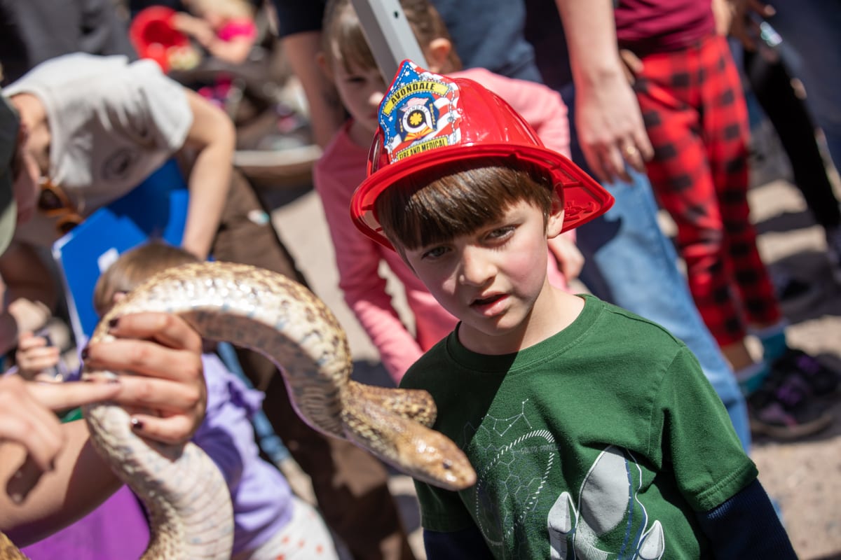 Description of the image