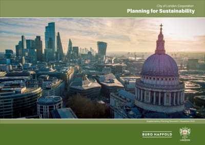 Planning for Sustainability SPD.pdf