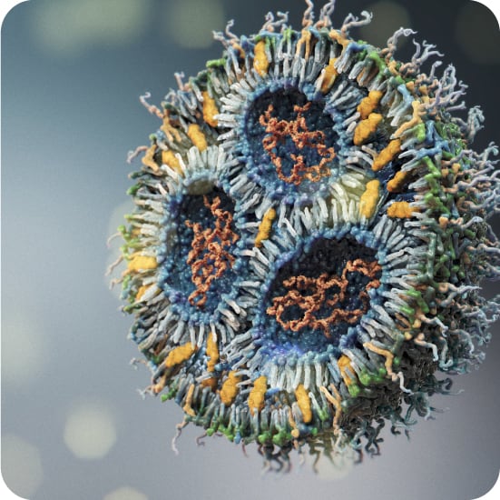 Adducts and N-oxides: understanding lipid nanoparticles (LNPs) for better mRNA drugs